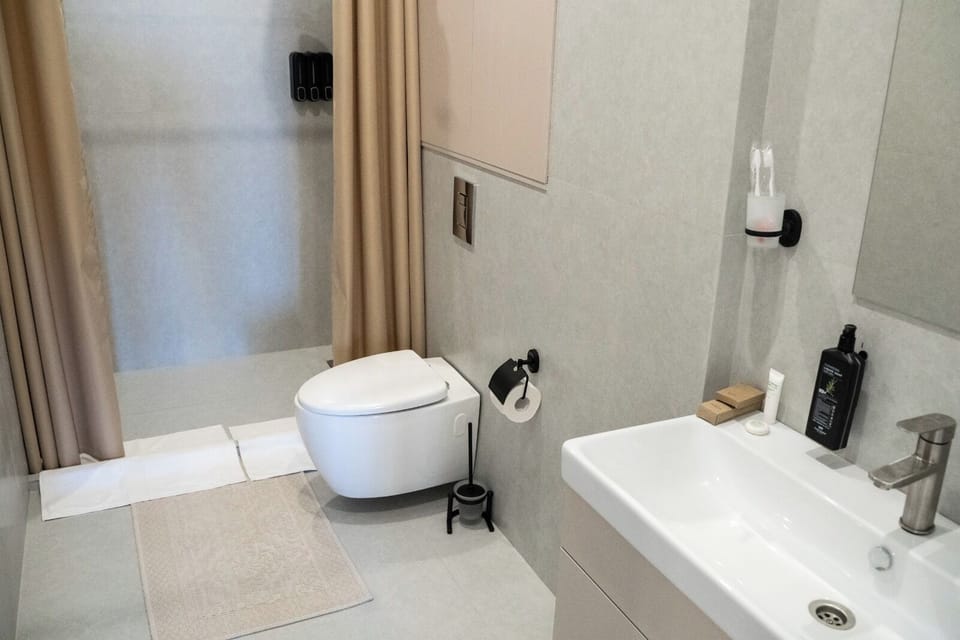 Standard Twin Room, City View | Bathroom | Shower, hair dryer, slippers, towels