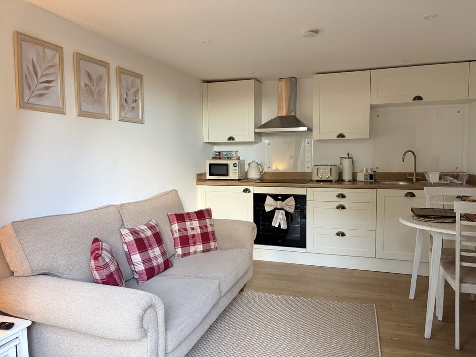 Open plan living room and kitchen