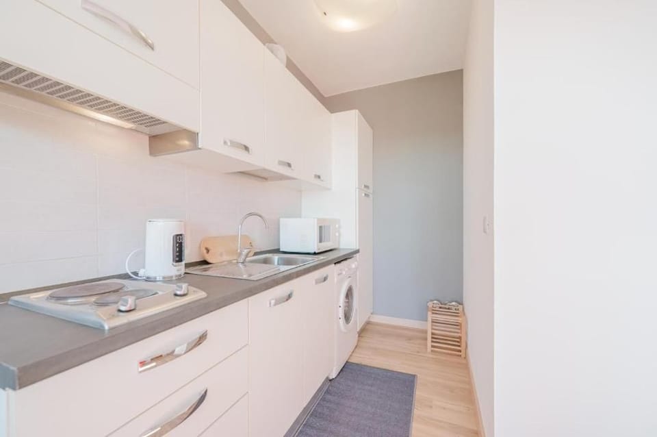 Deluxe Apartment | Private kitchen | Fridge, microwave, stovetop, cookware/dishes/utensils