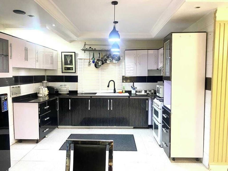 Deluxe Apartment, Balcony, City View | Private kitchen | Fridge, microwave, stovetop, dishwasher