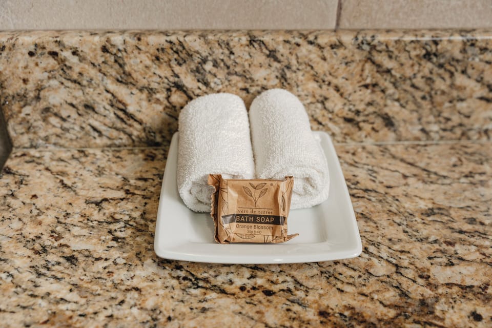 Shower, free toiletries, hair dryer, towels
