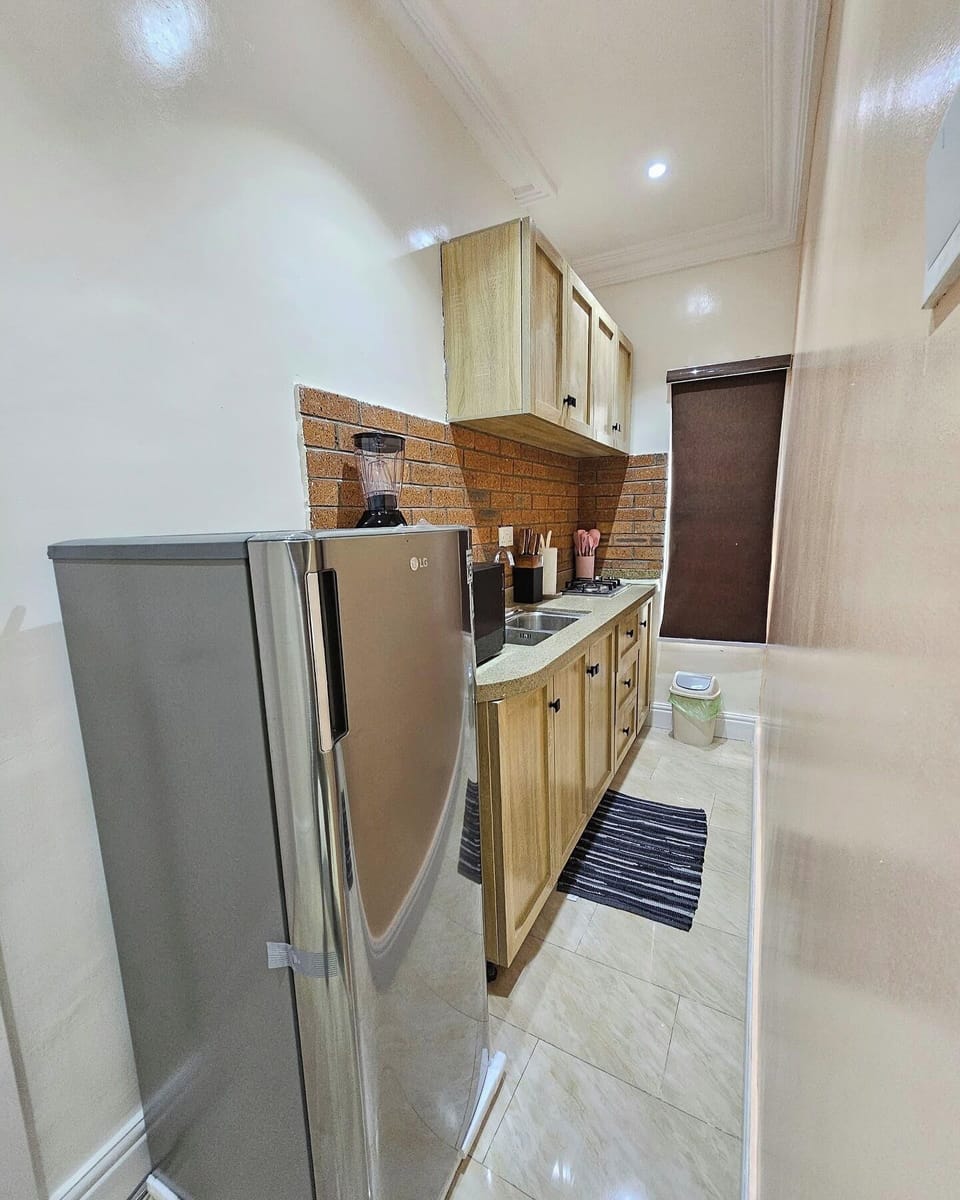Economy Apartment, Balcony, City View | Private kitchen | Fridge, microwave, oven, stovetop