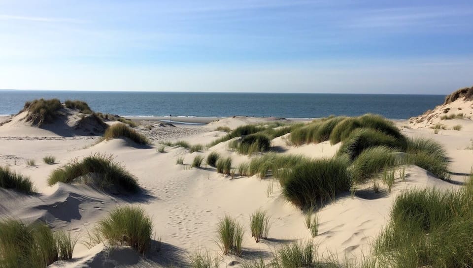 De Kop van Schouwen