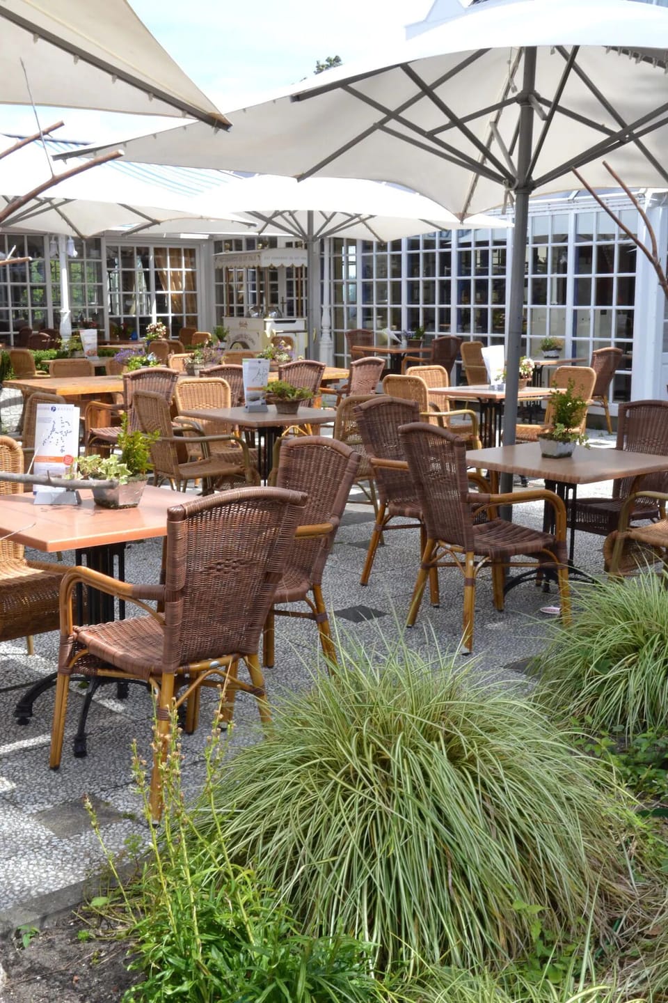 Savor sunny afternoons surrounded by greenery and comfortable seating.