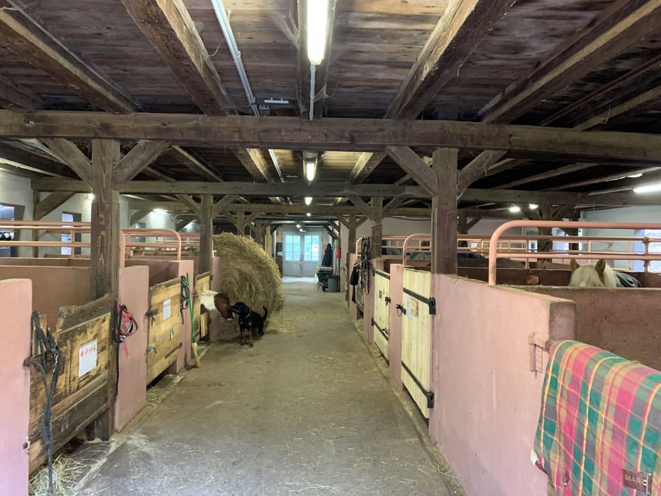 Miscellaneous