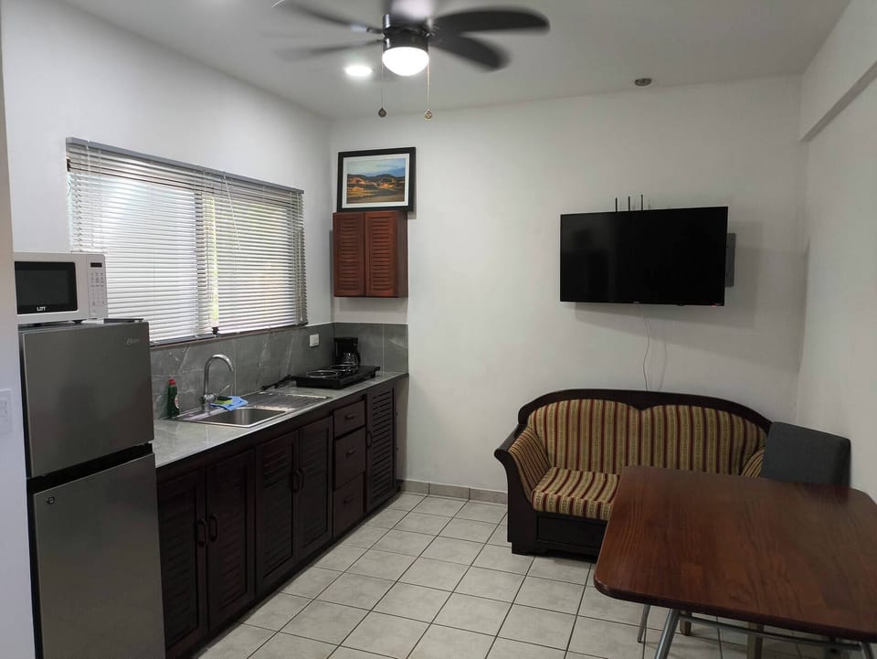Apartment, 1 Bedroom | Room amenity