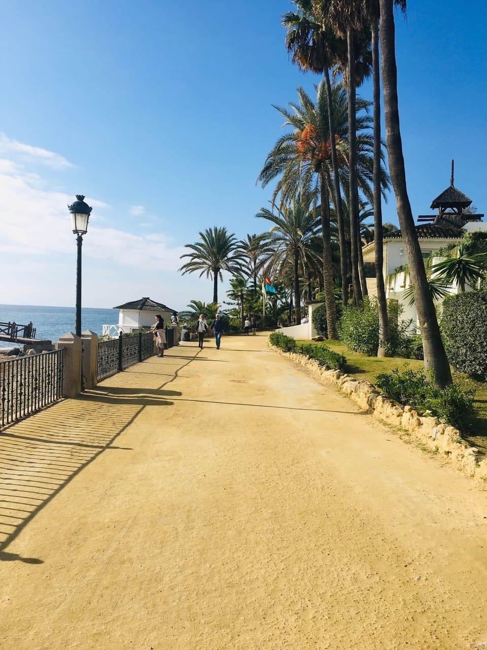 Neptuno Marbella 501