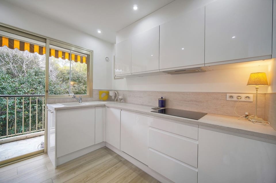 2025-01 - frgk - appt av prince de galles CANNES 13_2