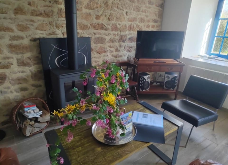 Salon avec poêle