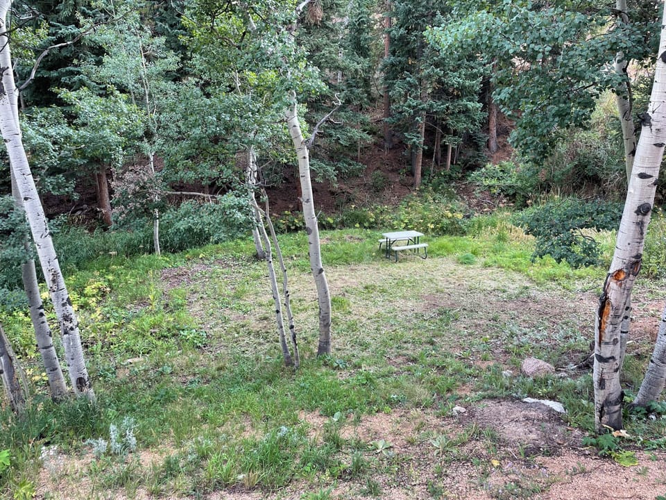Our backyard features a table that seats 6, two disc golf baskets, and a creek. 