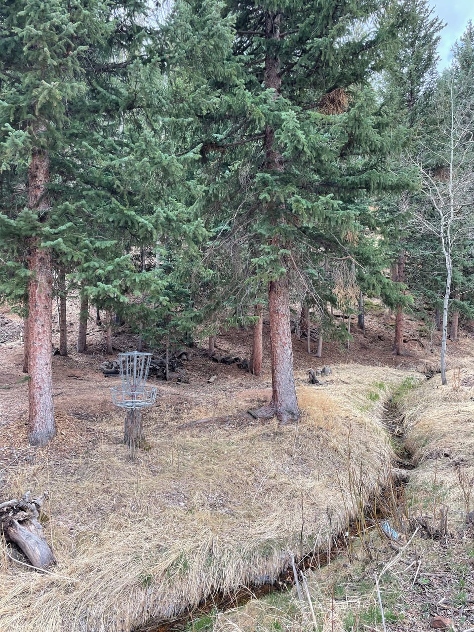 Our backyard features a table that seats 6, two disc golf baskets, and a creek. 