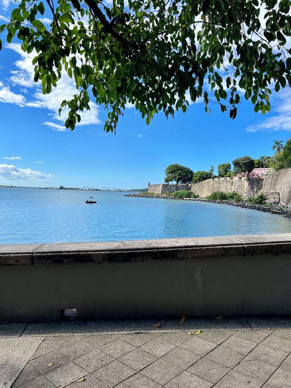 View from property