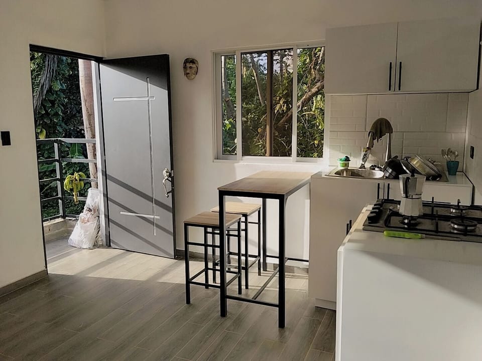 Deluxe Apartment, Balcony, Courtyard View | Private kitchen | Mini-fridge, cookware/dishes/utensils