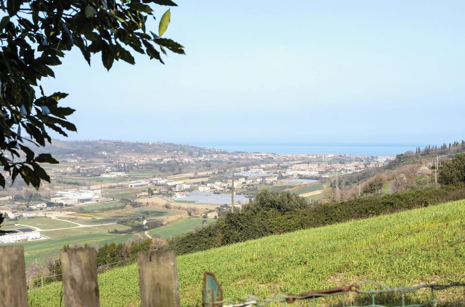 Scenic View