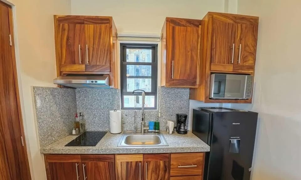 The kitchenette is equipped with the basics