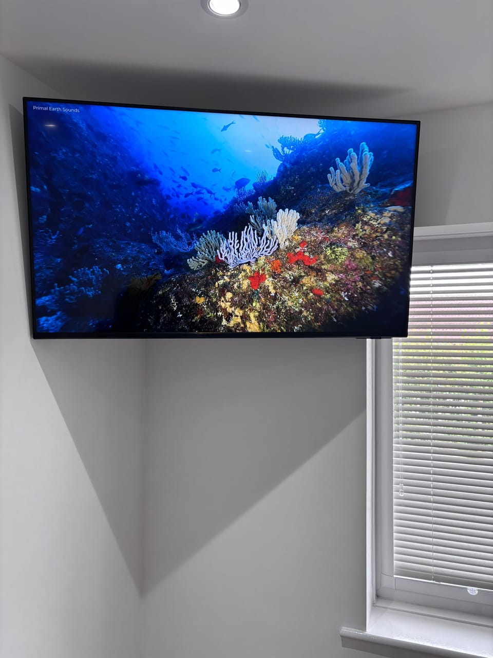 Television