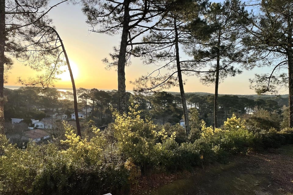 View from Holiday Home [summer]