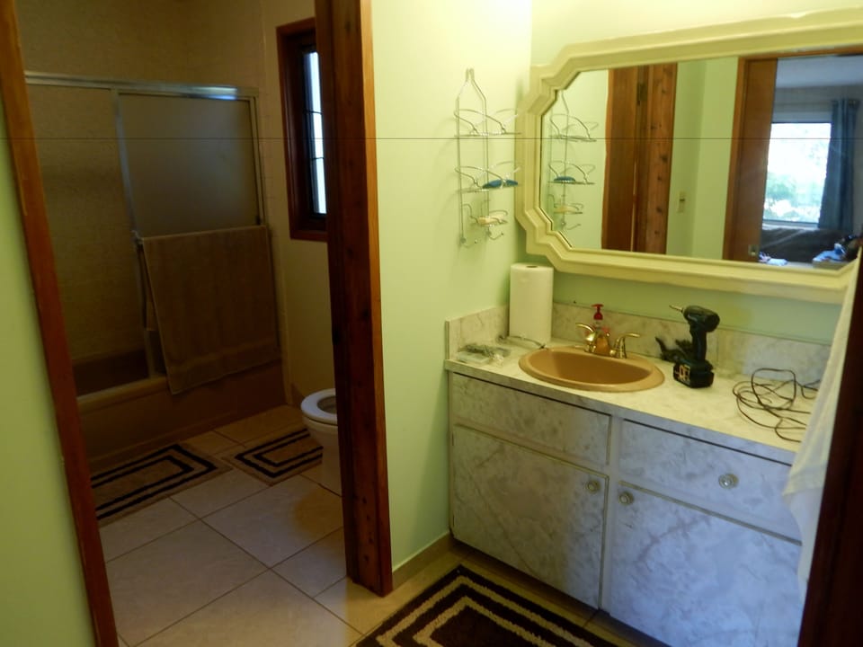 Deluxe Room, 1 King Bed, Private Bathroom (Master) | Bathroom | Free toiletries, hair dryer, towels