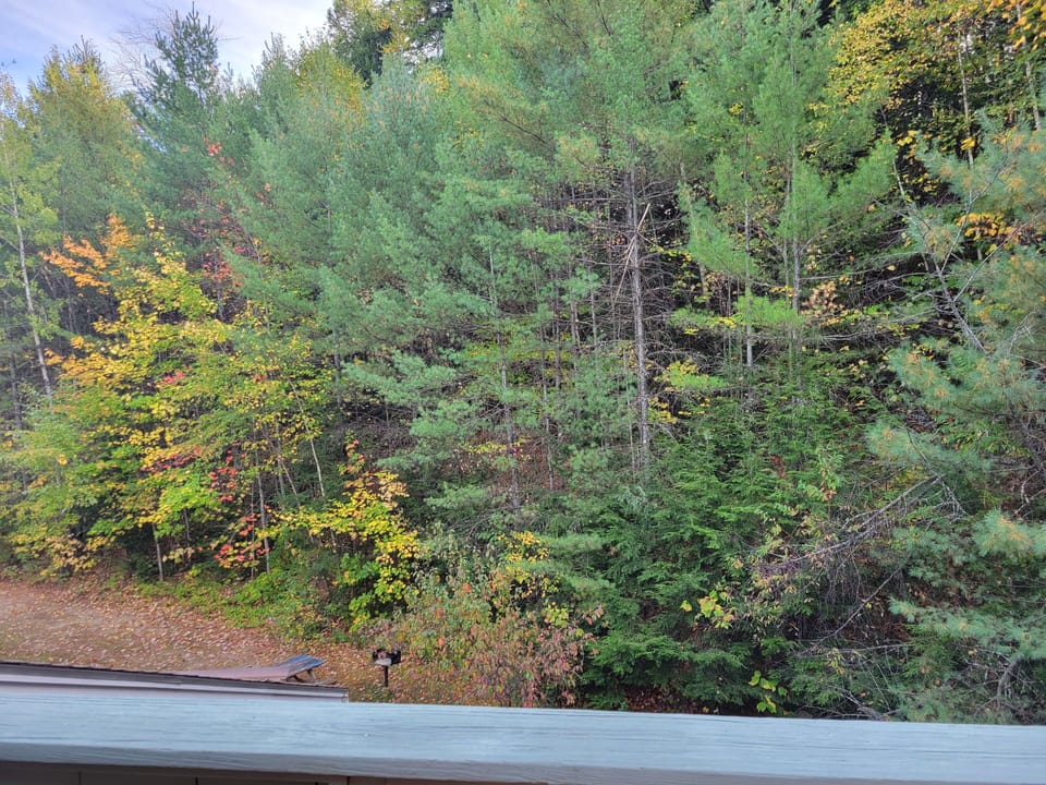 View from upper deck off the sleeping loft