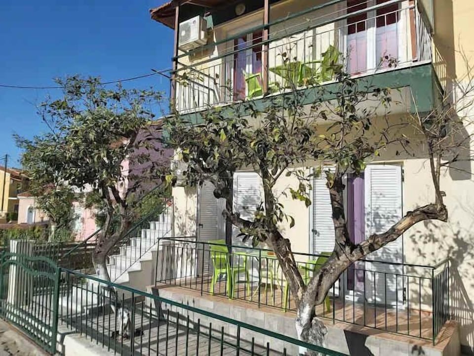 Facade of the house surrounded by greenery