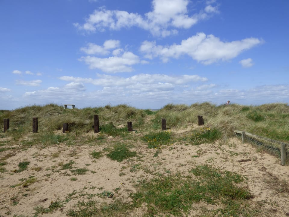 view of the dunes