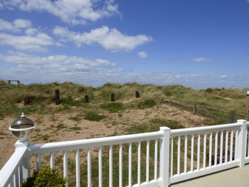 view from decking