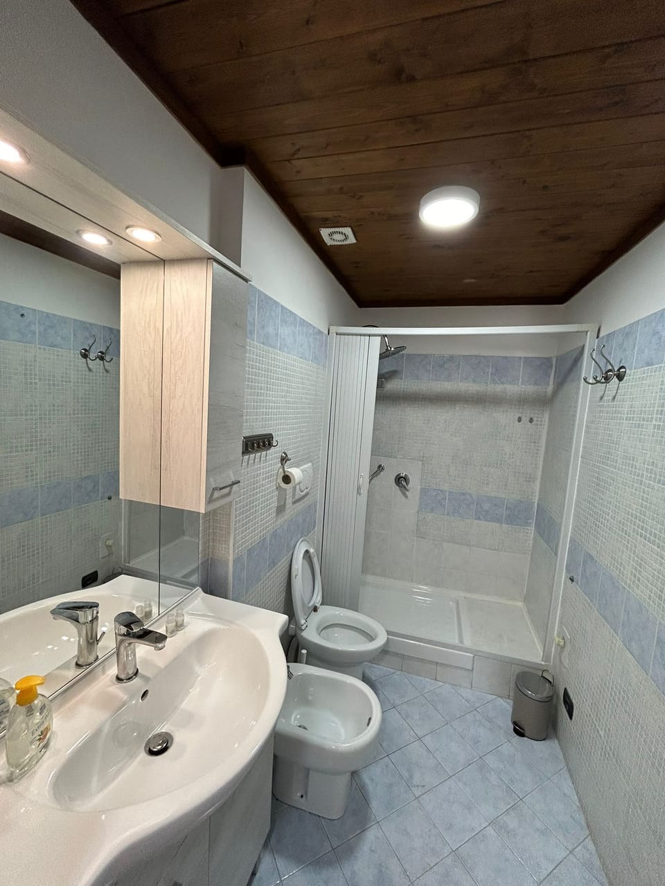 Hair dryer, towels, soap, shampoo