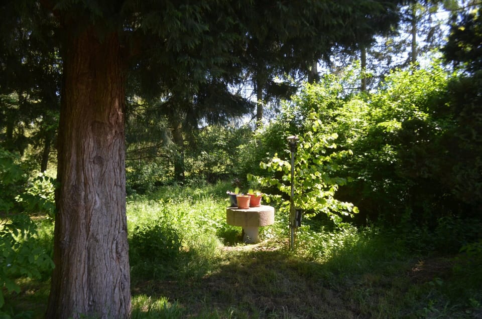 Apartment | Garden