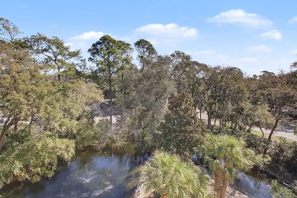 Scenic natural landscape with mature trees, palm vegetation, and peaceful water feature creating a tranquil neighborhood setting.