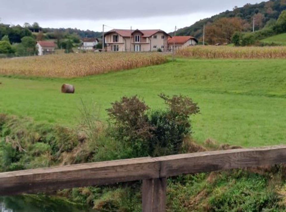 Apartment (Two Bedroom Apartment) | View from property