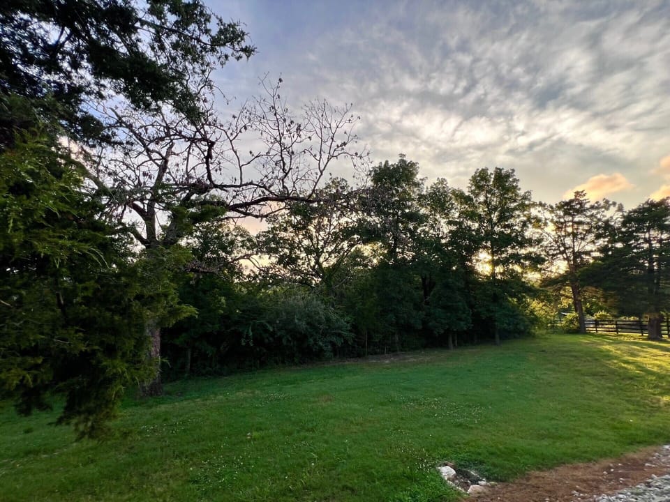 Yard behind the cabin