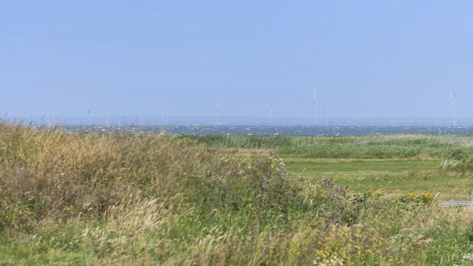 Area