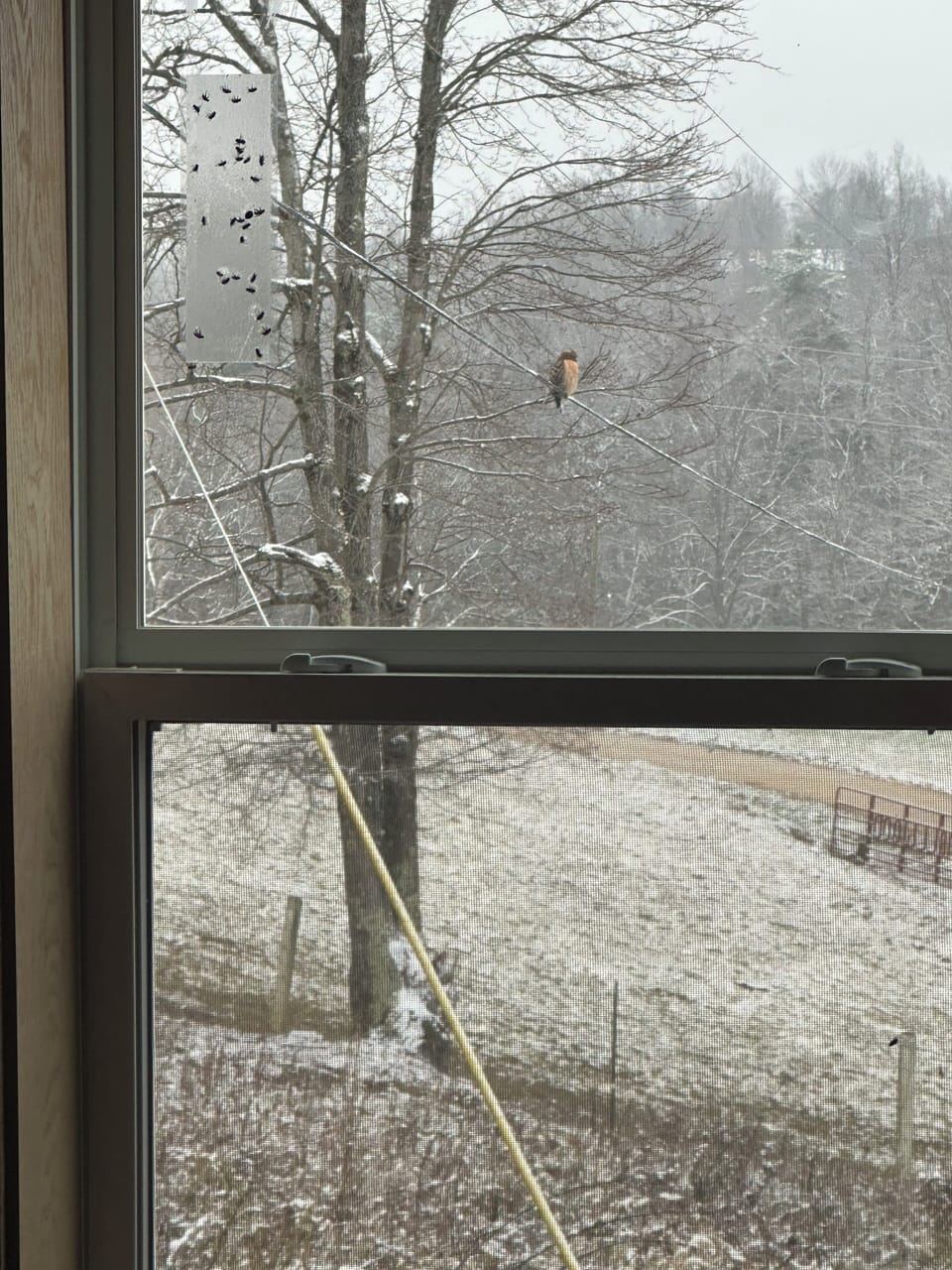 View from property