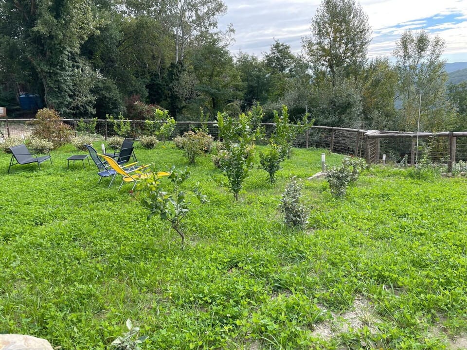 Autumn, Garden, Spring, Summer