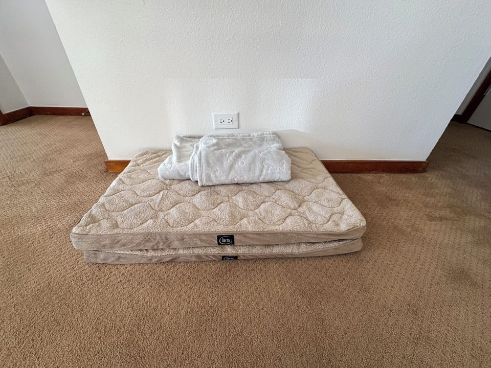 2 dog beds and a throw blanket are provided for your furry companions.