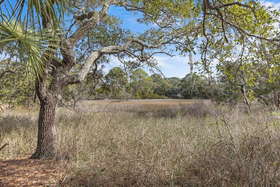Marsh view from the property