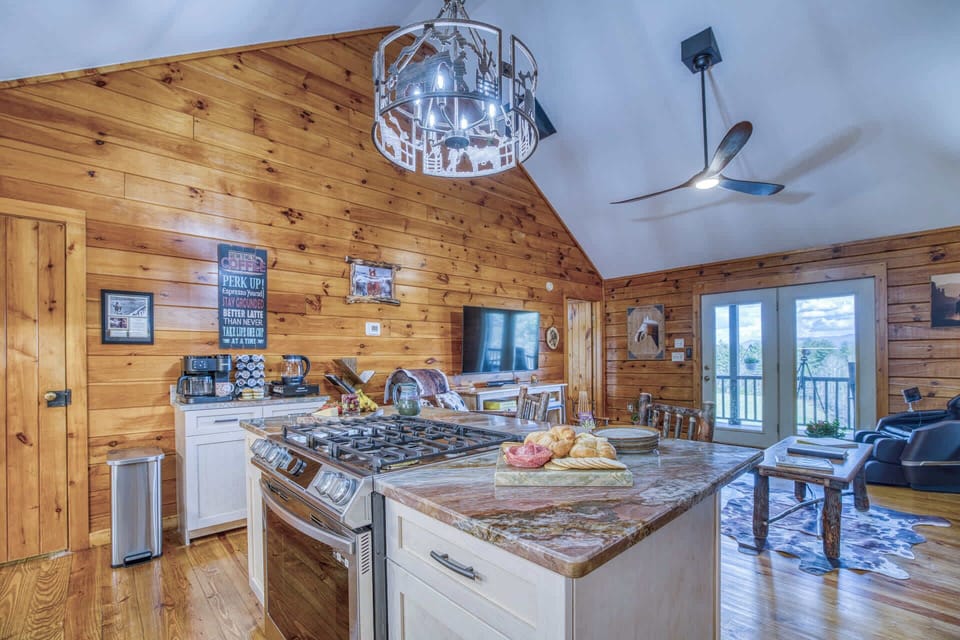 Gas stove and oven