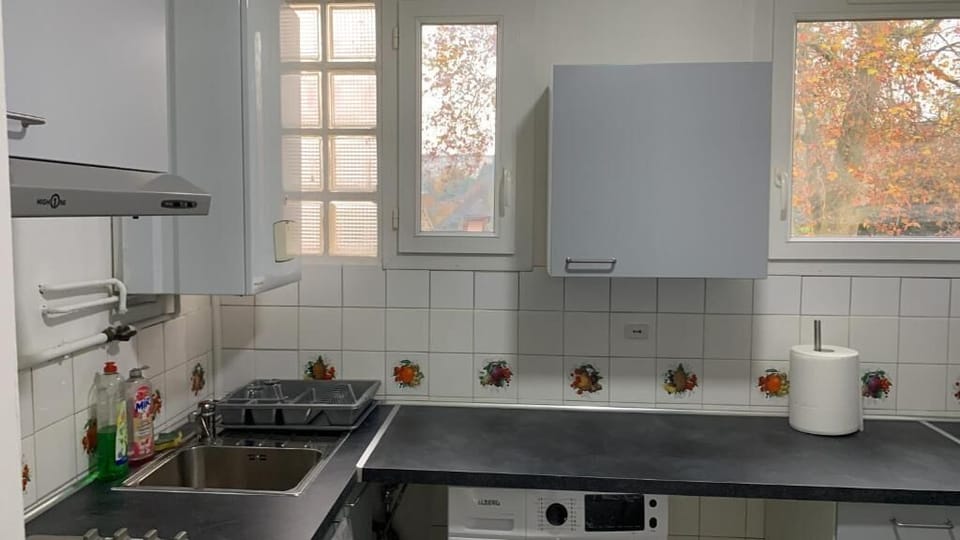 Basic Apartment, Non Smoking, Microwave | Private kitchen