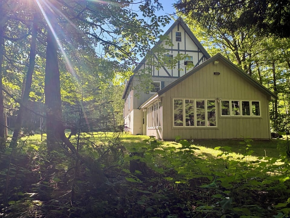 Secluded woodland A-frame cabin with sunny clearing and peaceful views