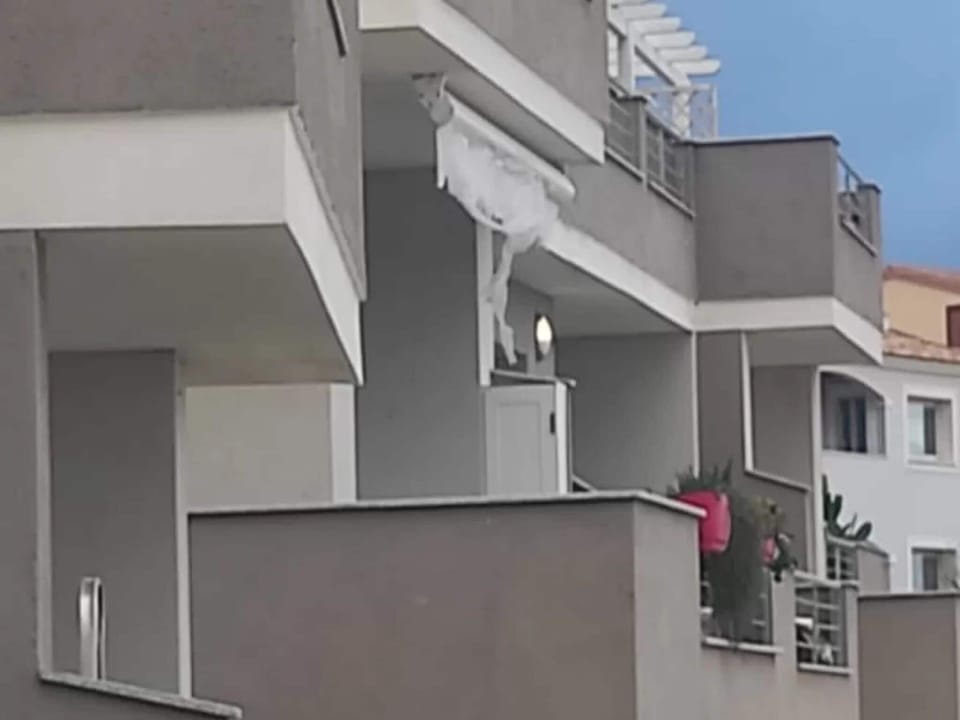Apartment, 1 Bedroom, Balcony, Ocean View | Exterior detail