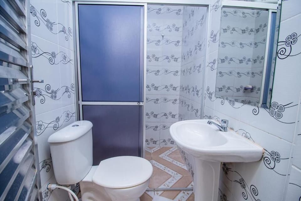 Shower, towels, soap, toilet paper