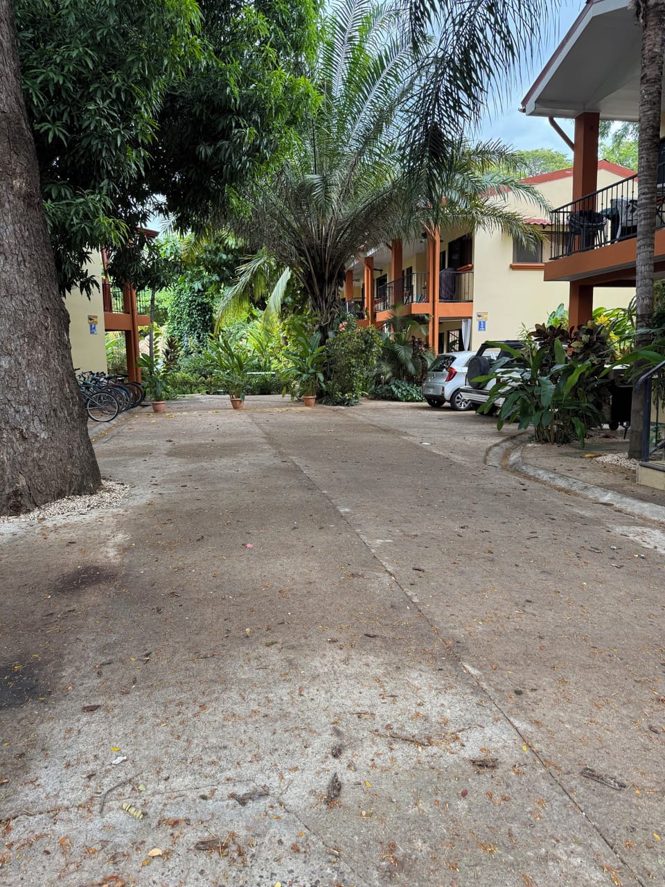 Property grounds