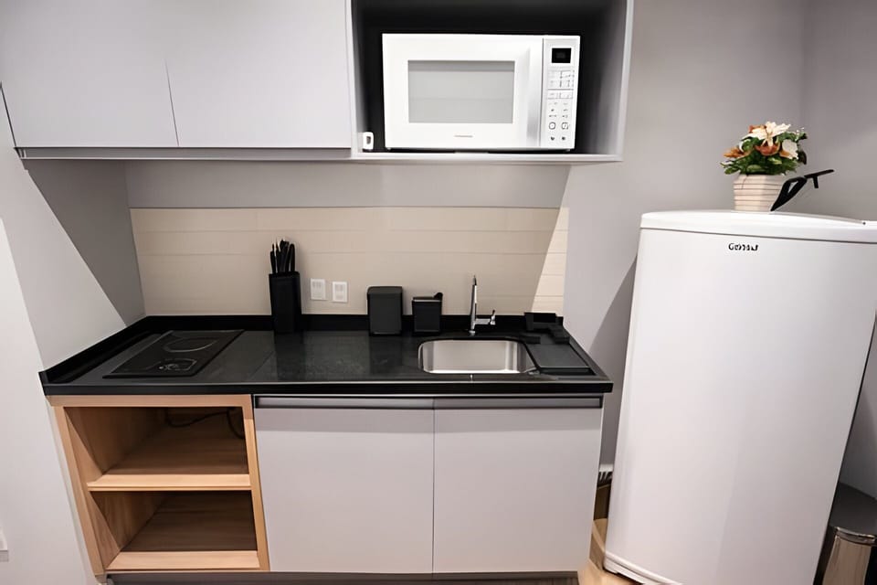 Basic Studio | Private kitchen | Microwave, stovetop