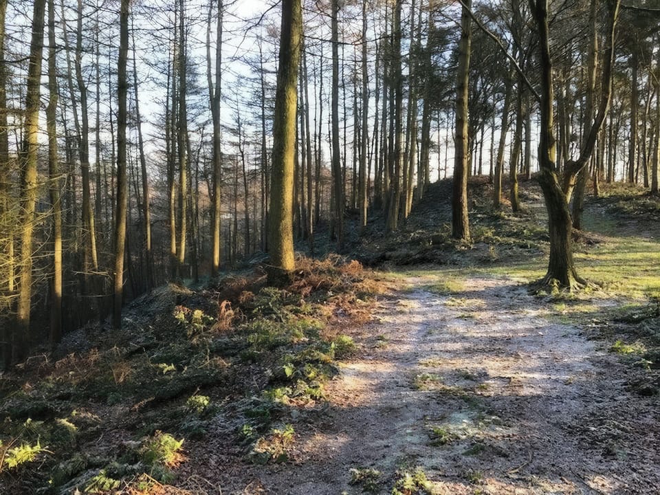 Willowbank, Brampton