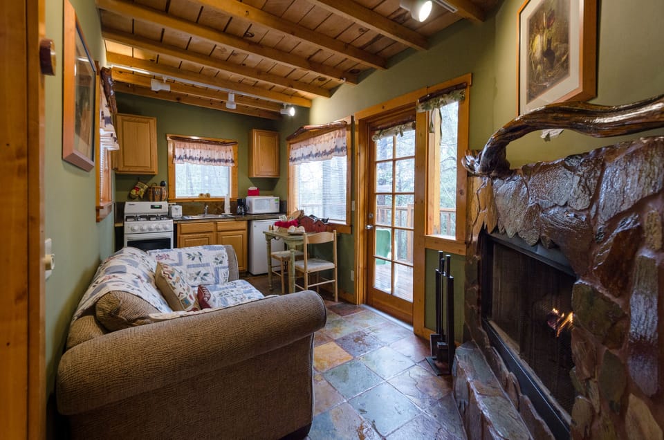 Forest Hideaway Studio Cabin (no pets) | Living area | TV