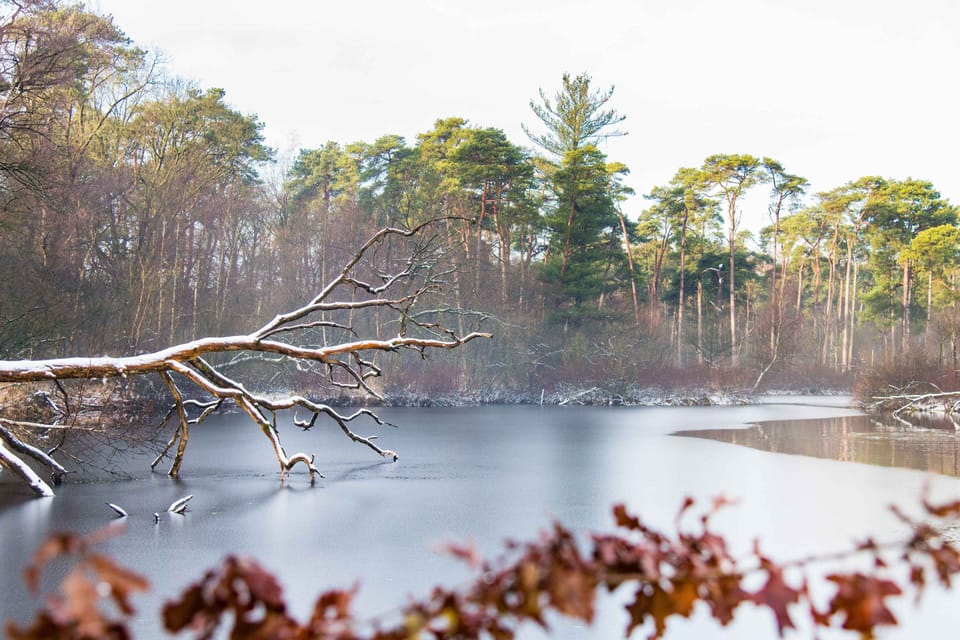 Uncover Thrilling Experiences Close By.