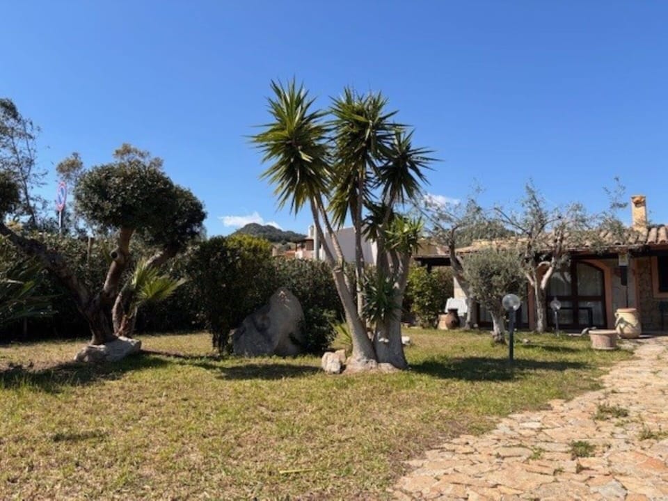 Shrub, Garden, Shade, Woody Plant, Landscaping, Hacienda, Estate, Yard