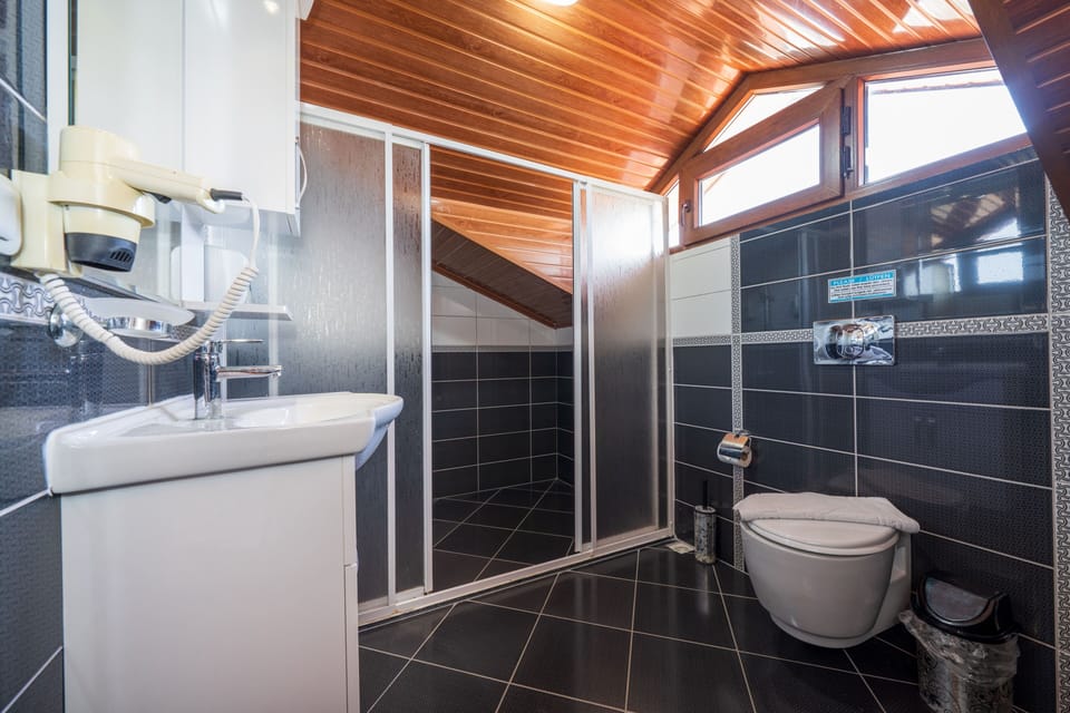 Family Apartment, 2 Bedrooms, Non Smoking, Mountain View | Bathroom | Shower, hair dryer, bidet, towels