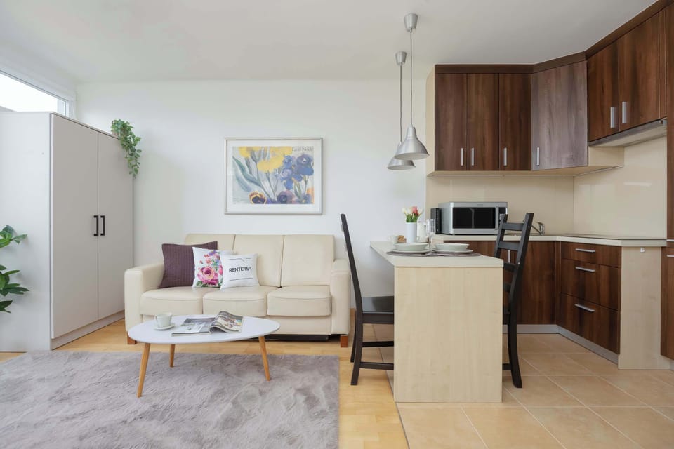 The kitchenette galley features dark brown cabinetry paired with light countertops and a built-in stovetop. It offers a compact but fully functional space for meal preparation within the open apartment.
