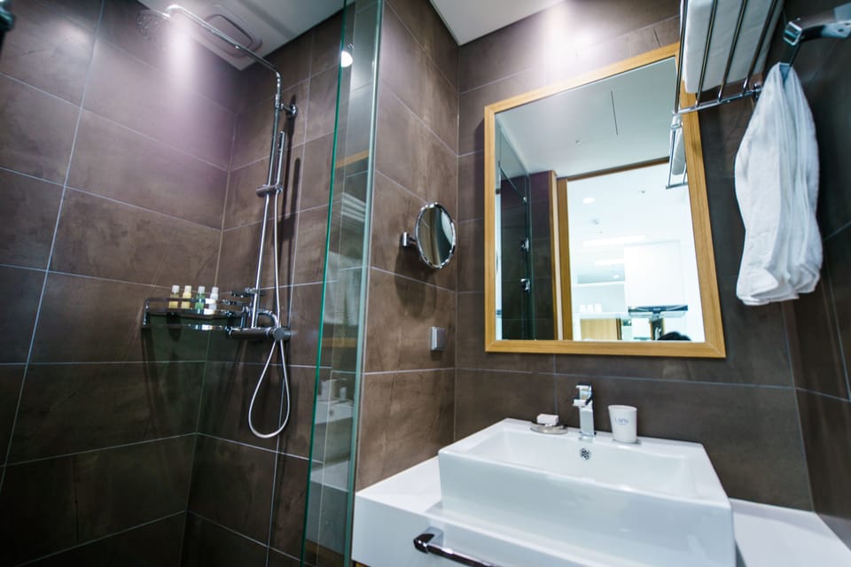 Shower, hair dryer, bathrobes, towels